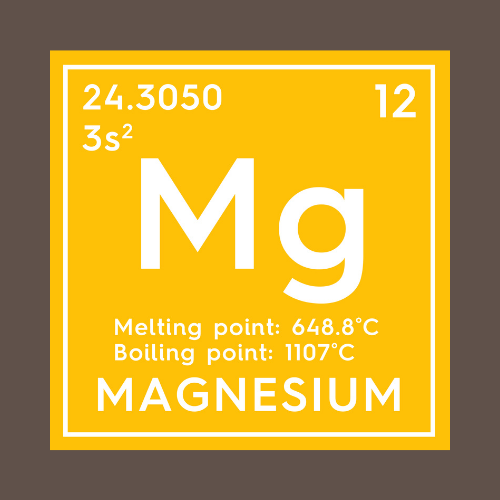The Most Magnesium Rich Food in the WORLD!