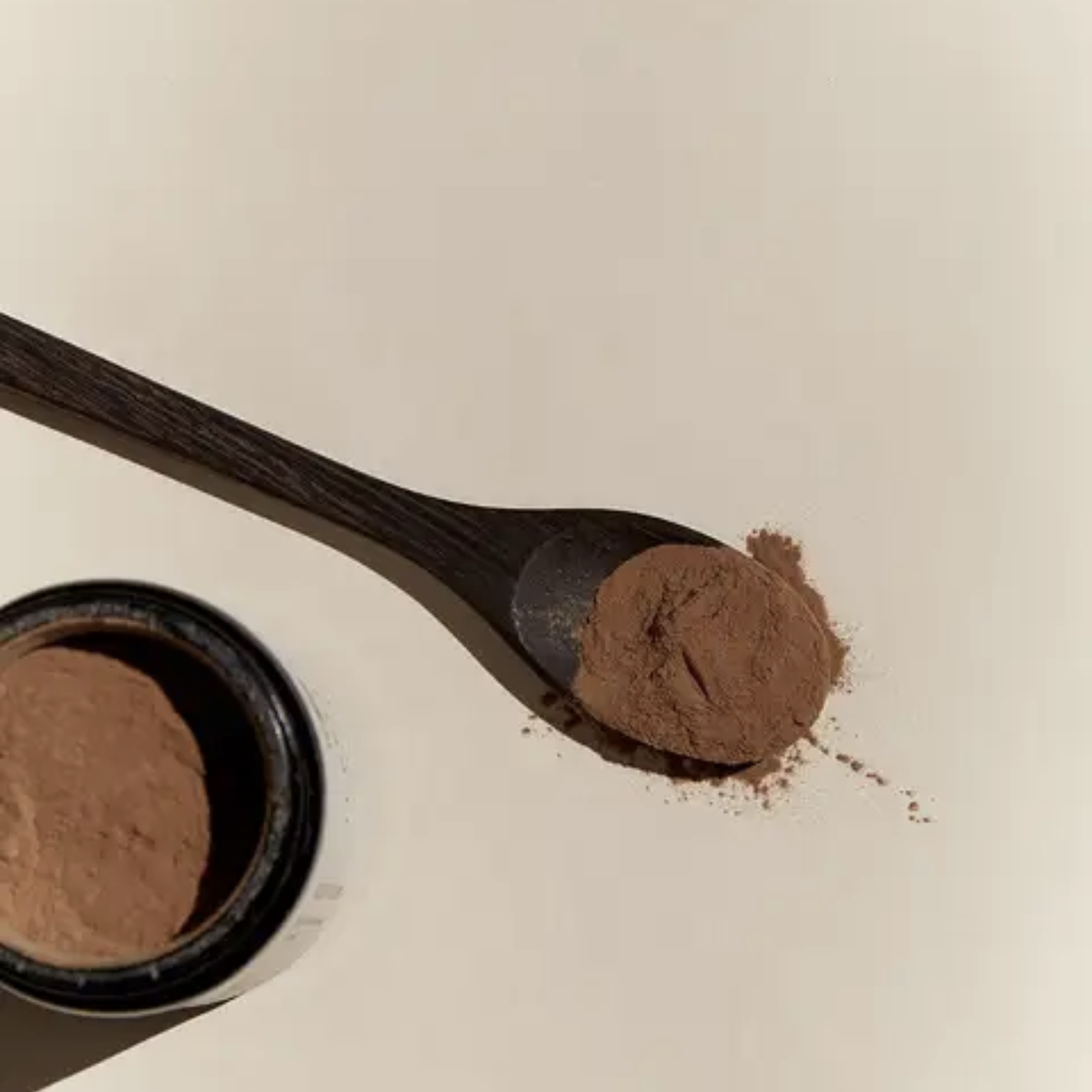 Turkey Tail 100g | Super Immunity | Mushroom Powder | SUPERFEAST