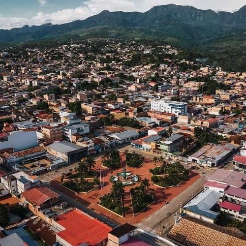 Cacao's Rich History in the Amazonian Region of Tarapoto