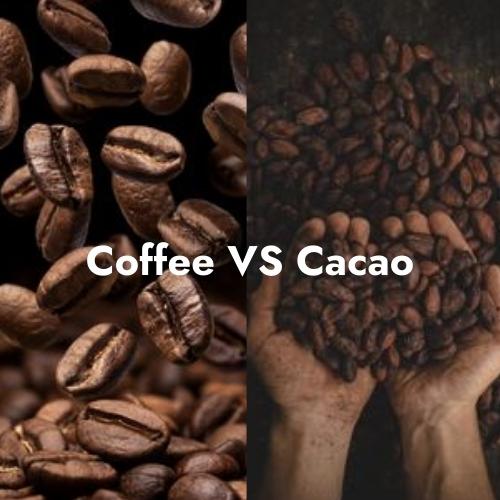 The Health Benefits of Cacao vs. Coffee Beans