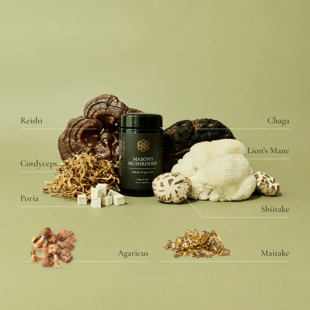 Masons Mushrooms 100g | Immune & Gut Tonic | SUPERFEAST