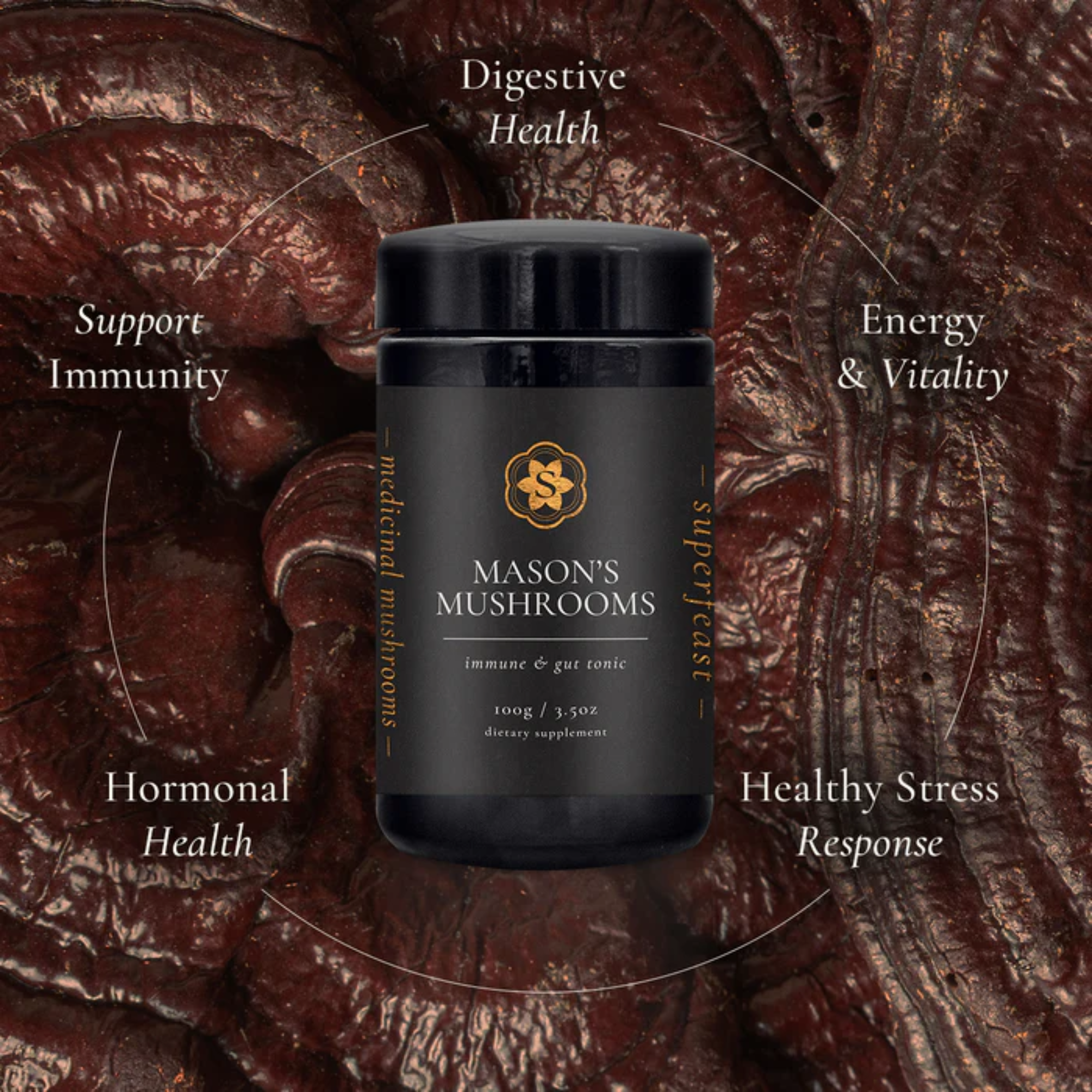 Masons Mushrooms 100g | Immune & Gut Tonic | SUPERFEAST