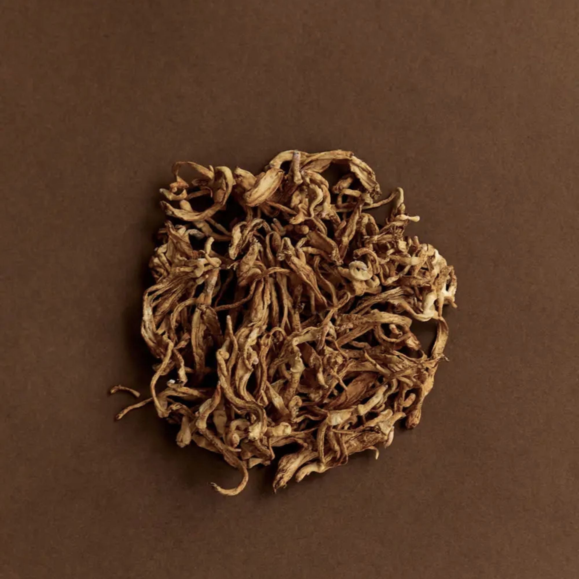 Cordyceps 100g | High Performance Tonic | SUPERFEAST